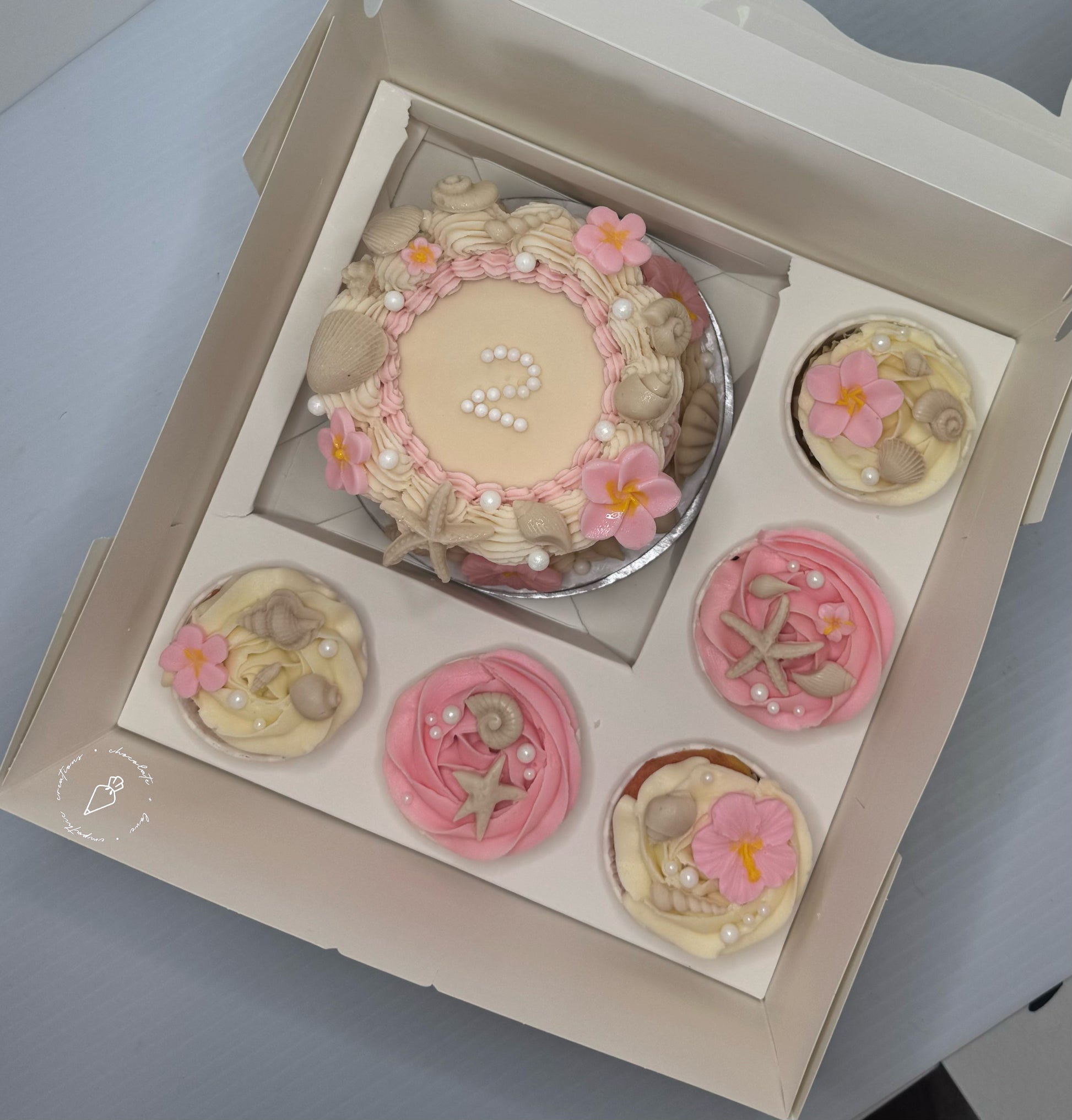 Bento Cupcake Box