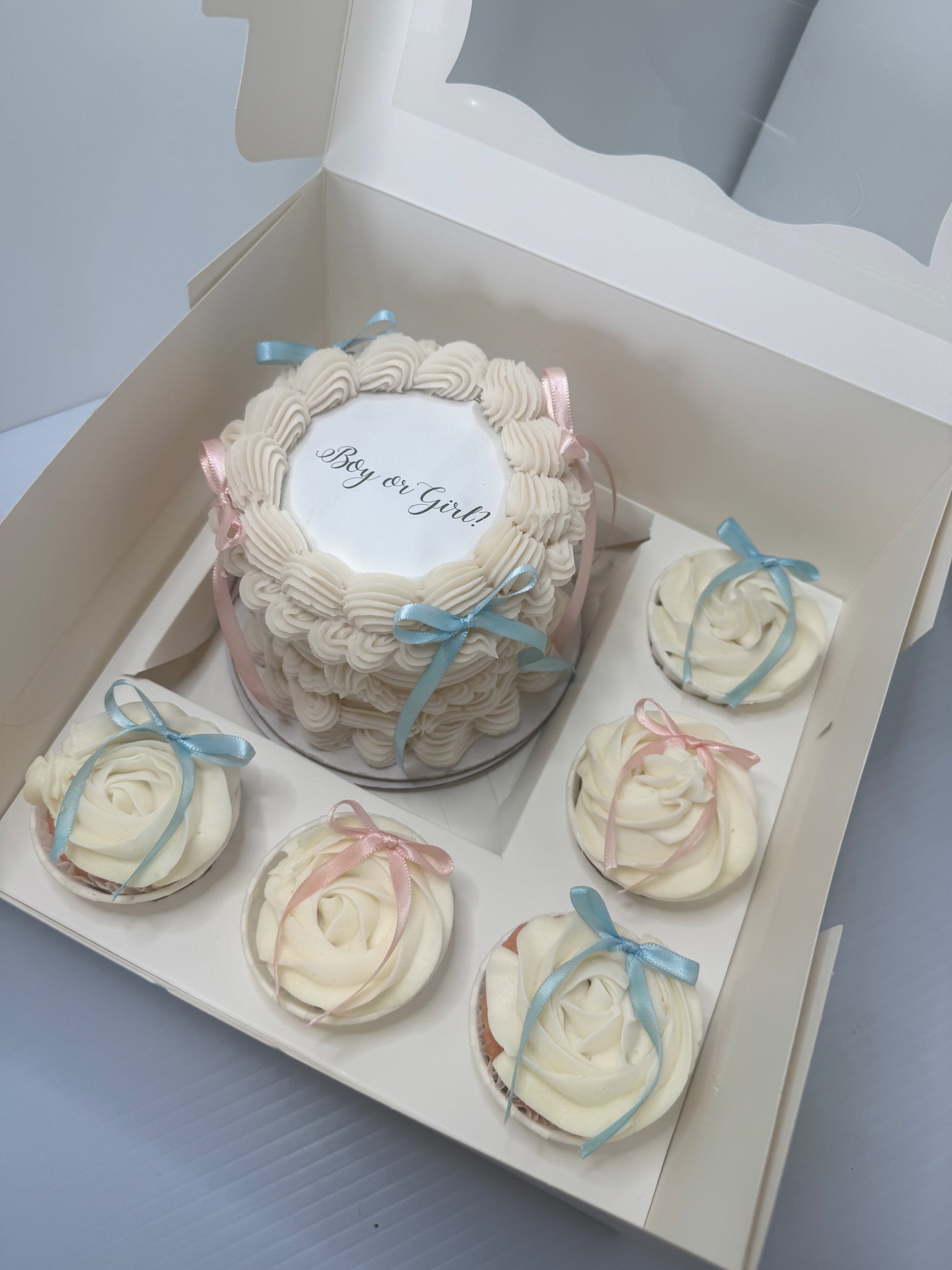 Bento Cupcake Box