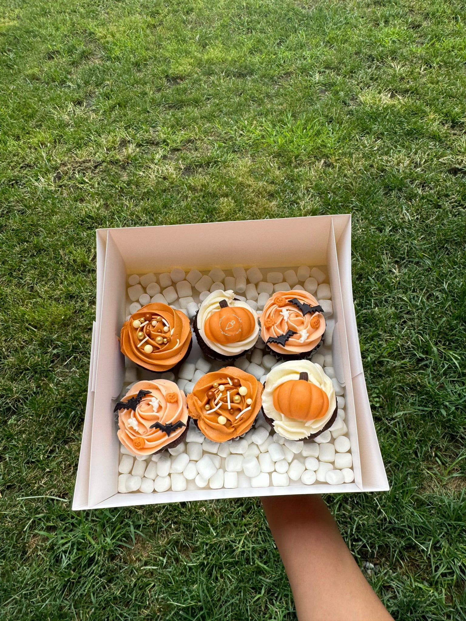 Fall Cupcakes!