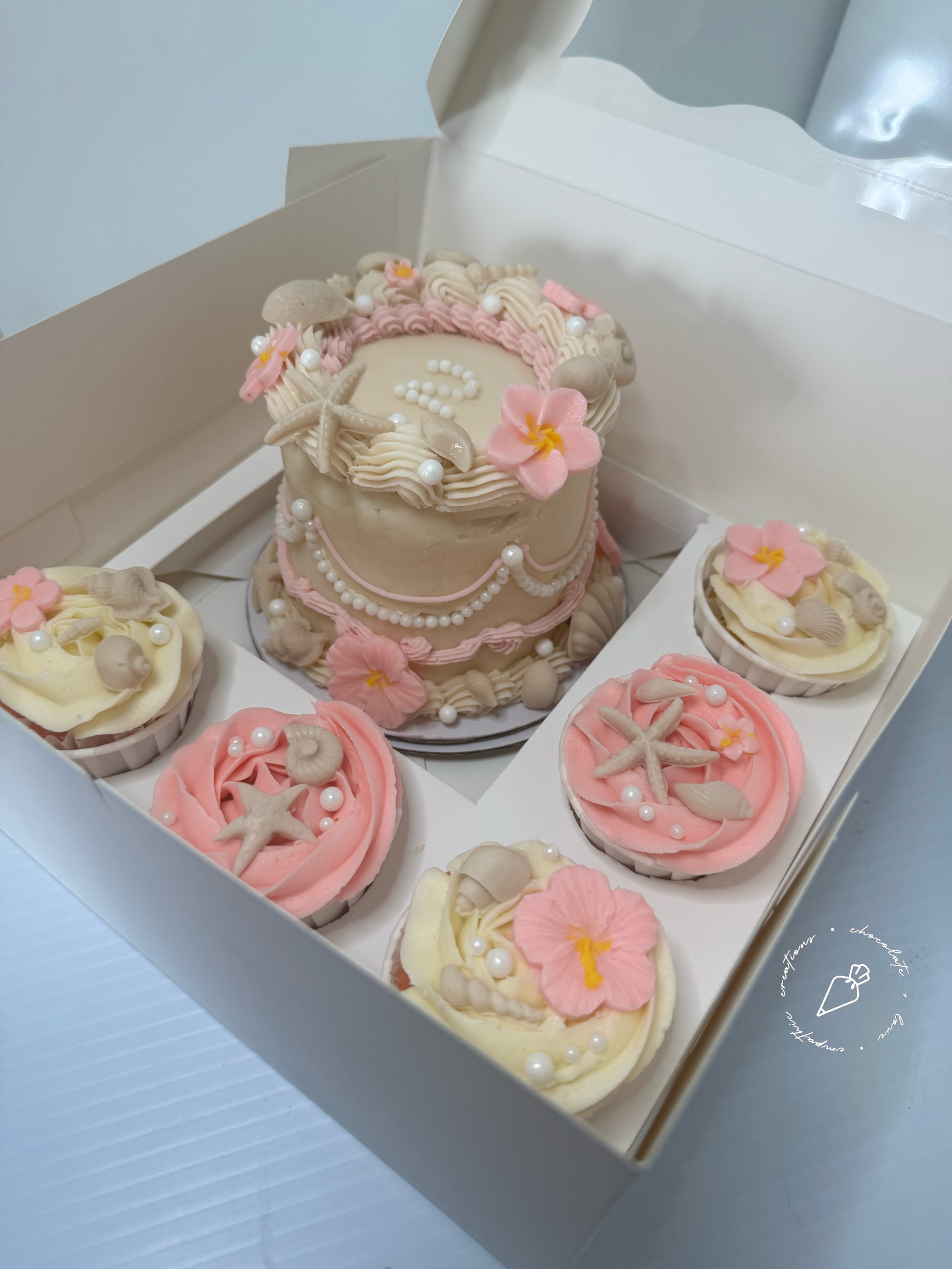 Bento Cupcake Box