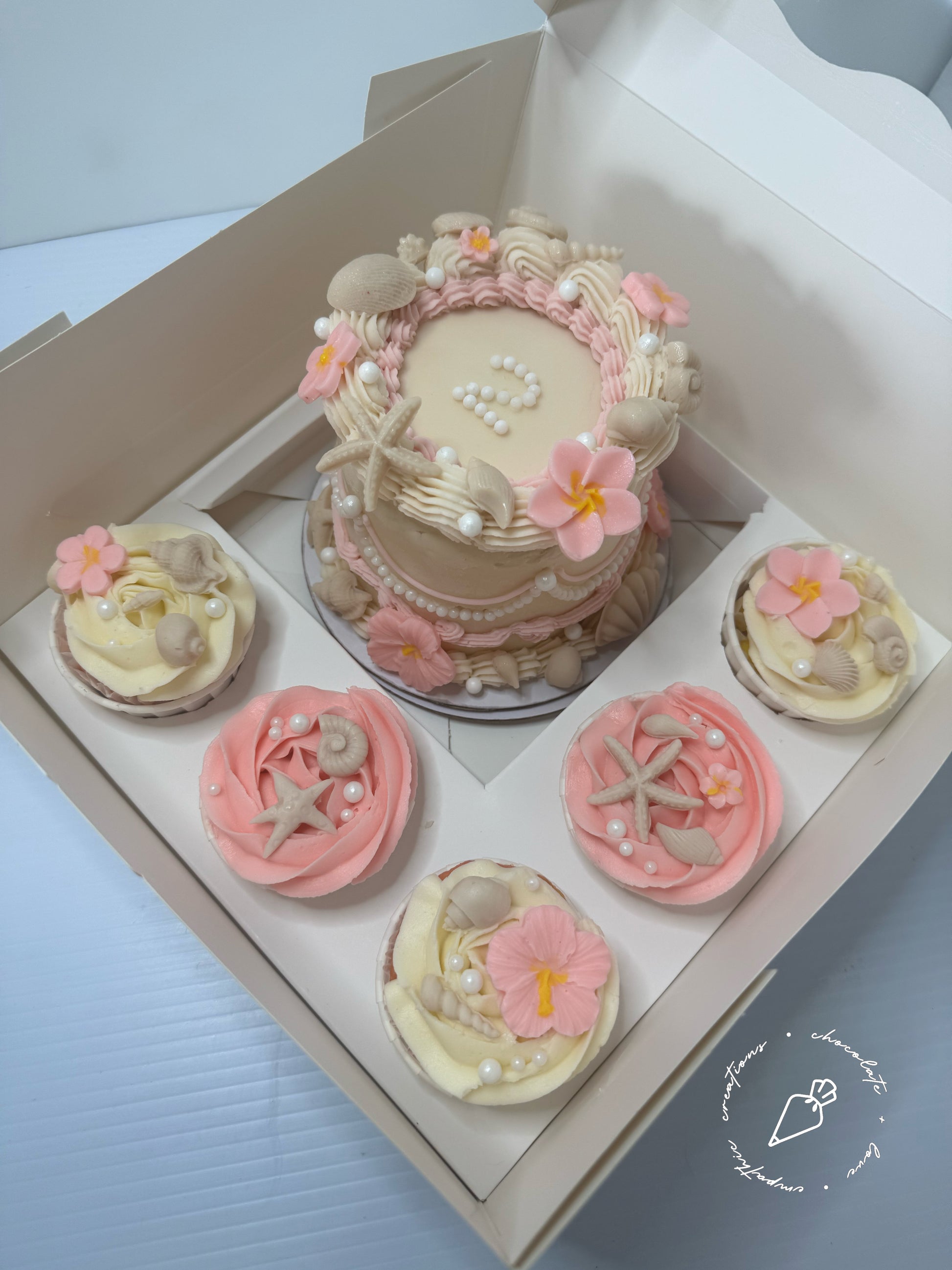 Bento Cupcake Box