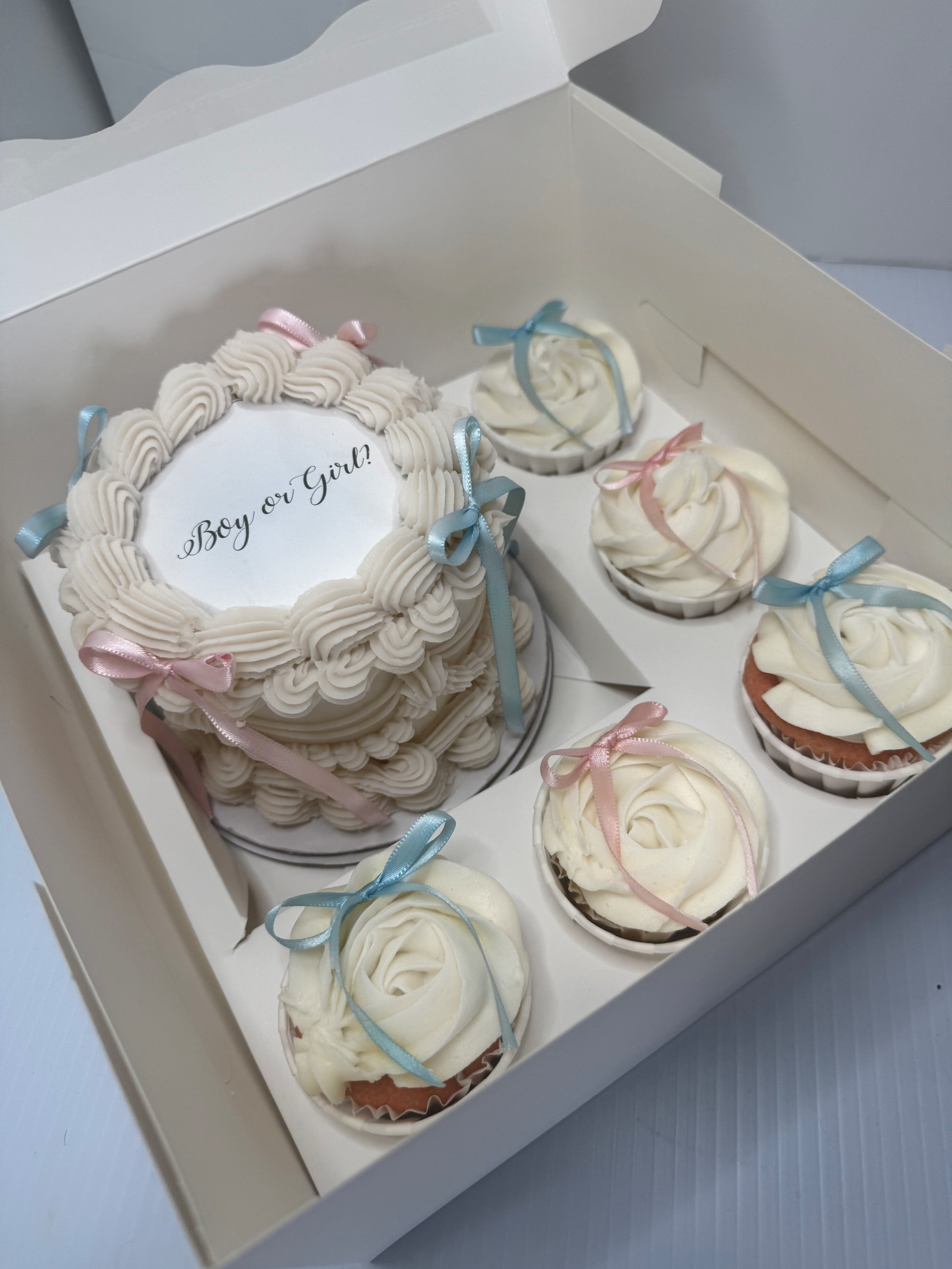 Bento Cupcake Box