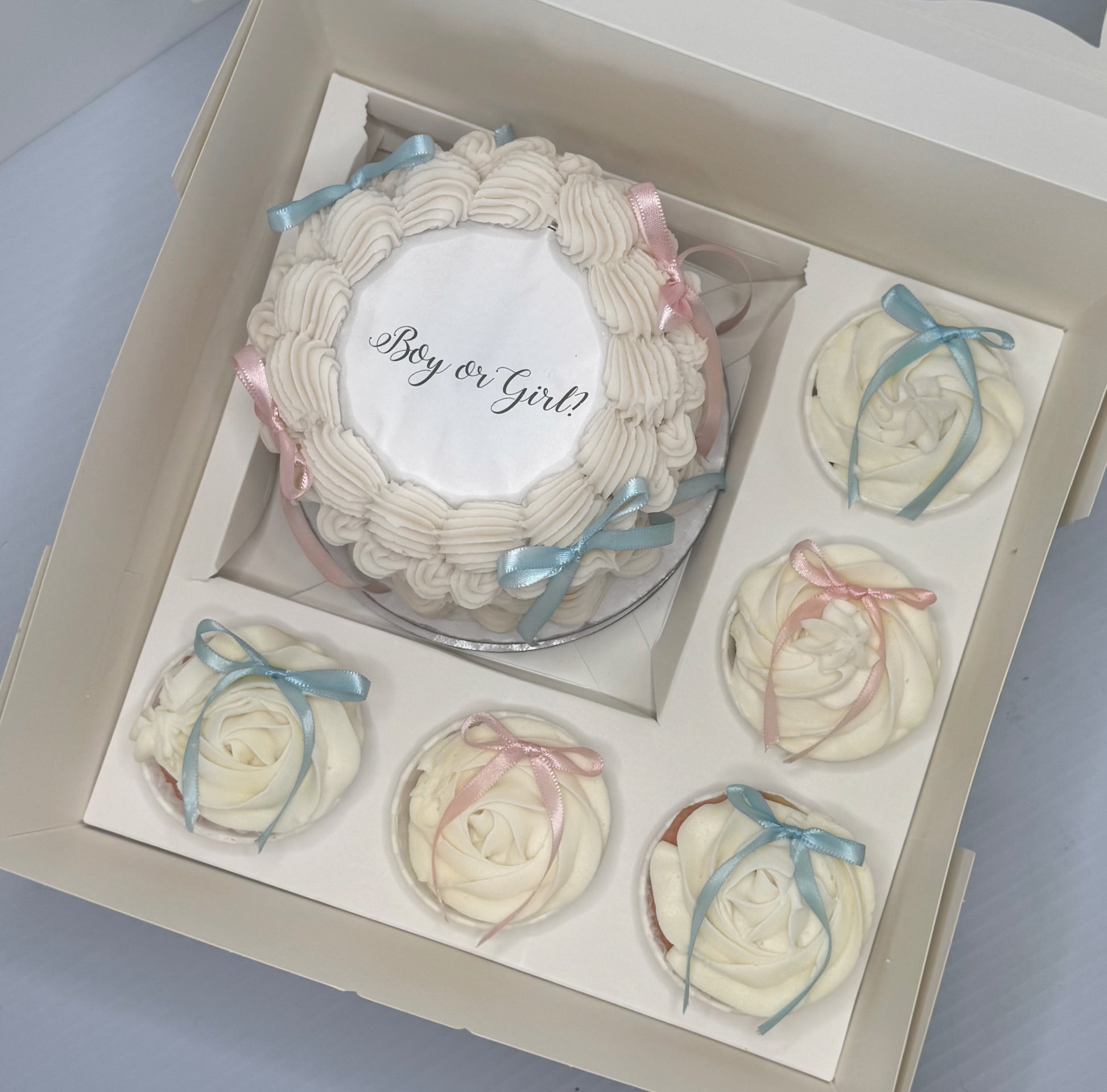 Bento Cupcake Box